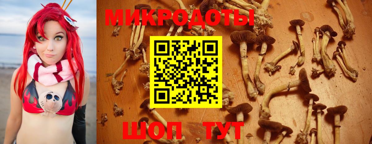 Галлюциногенные грибы мухоморы Жигулёвск